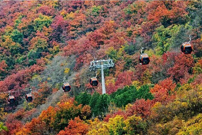 Beijing Great Wall Private Day Tour from Shanghai by Bullet Train - Mutianyu Great Wall is the smart choice for a one-day Beijing plan
