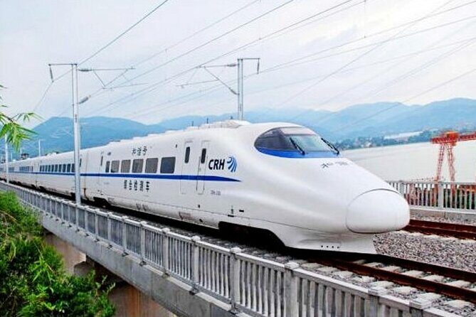 Beijing Great Wall Private Day Tour from Shanghai by Bullet Train - Price and value: $575 per person, and what you’re really paying for