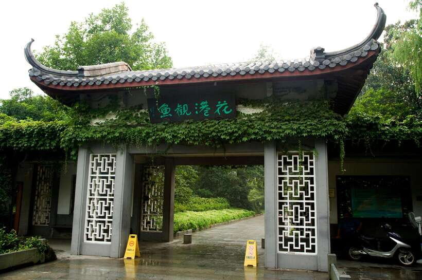 From Shanghai: Hangzhou Private Day Trip by Bullet Train - Key things you’ll notice on this Hangzhou private day trip
