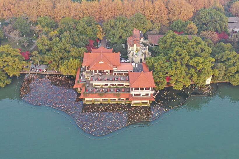 From Shanghai: Hangzhou Private Day Trip by Bullet Train - Who this private day trip suits best