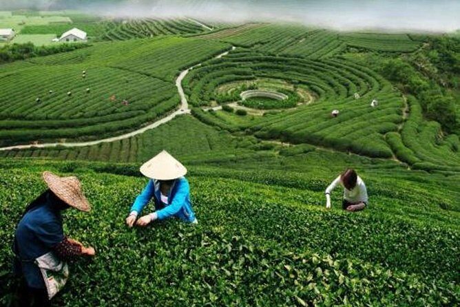 Hangzhou Private Customized Day Trip from Shanghai by Bullet Train - West Lake UNESCO: How to Enjoy the “Golden Name Card” Without Losing Time