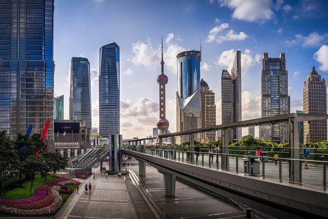 Private Arrival Transfer from Pudong Airport to Shanghai City Hotel - When Your Group Needs More Than a Standard Sedan