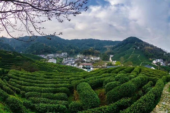 Private Day Trip to Hangzhou from Shanghai by Bullet Train - Fast Shanghai-to-Hangzhou Travel That Actually Saves the Day