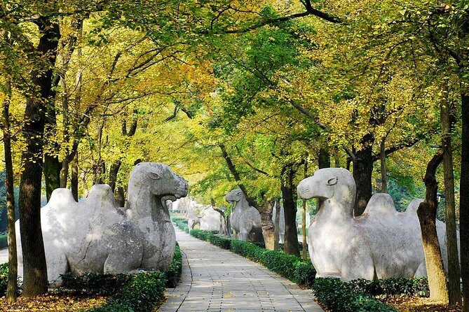 Private Flexible Nanjing City Day Trip from Shanghai by Bullet Train - Sun Yat-sen Mausoleum and Purple Mountain: the emotionally heavy hitter