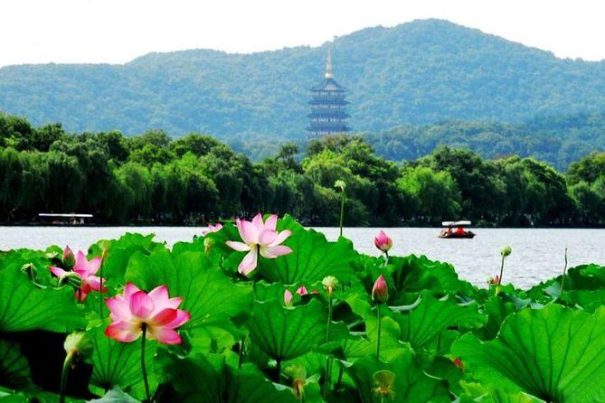 Private Hangzhou Day Tour from Shanghai by Bullet Train - Key highlights worth your attention