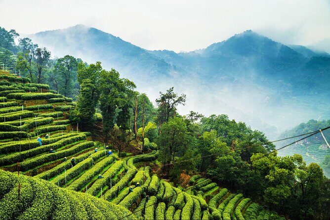 Private Hangzhou Day Tour from Shanghai by Bullet Train - Faxi Temple: why the walk up matters