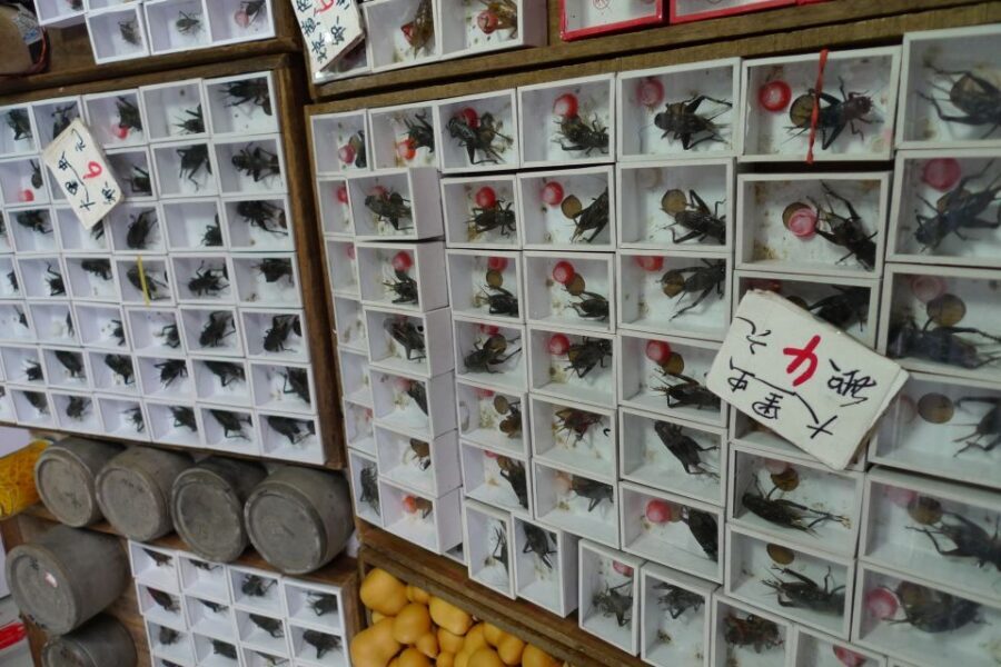 Shanghai: 3-Hour Old Shanghai City Tour - Logistics that actually matter (and what to plan for)