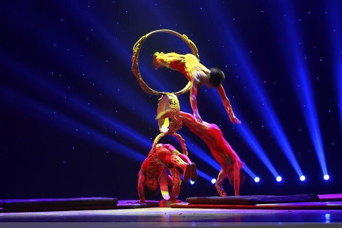 Shanghai Acrobatic Show and Late Dim Sum Dinner - Shanghai hotel pickup to the Shanghai Acrobatic Theater