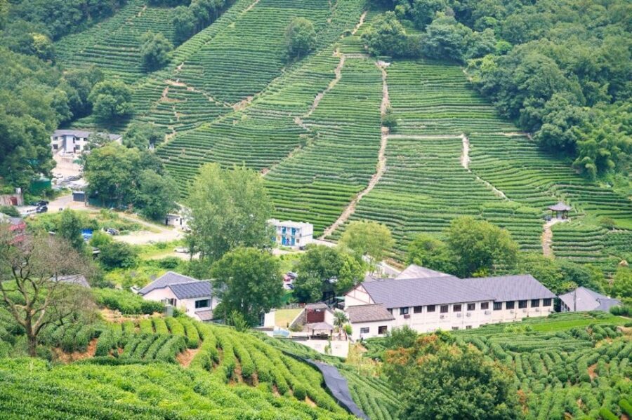 Shanghai: Private Guided Tour to Hangzhou by Bullet Train - Key highlights worth caring about