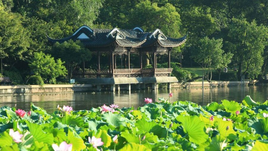 Shanghai: Private Guided Tour to Hangzhou by Bullet Train - Longjing tea farm: lunch, tastings, and learning the basics