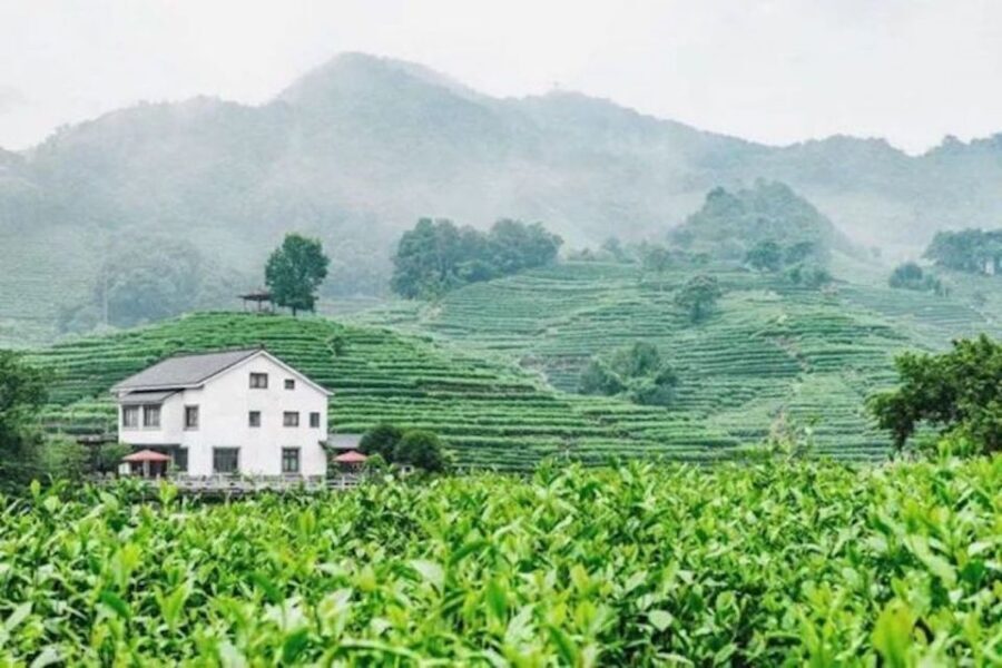 Shanghai: Private Guided Tour to Hangzhou by Bullet Train - Flexing the day: swap stops if you already know Hangzhou