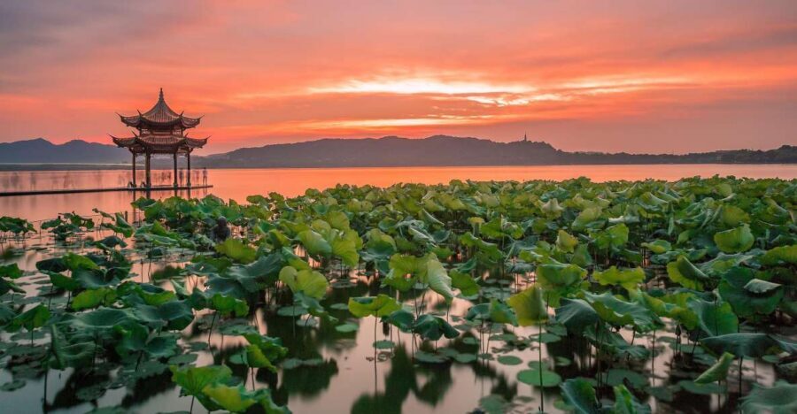 Shanghai: Private Guided Tour to Hangzhou by Bullet Train - Who this tour fits best