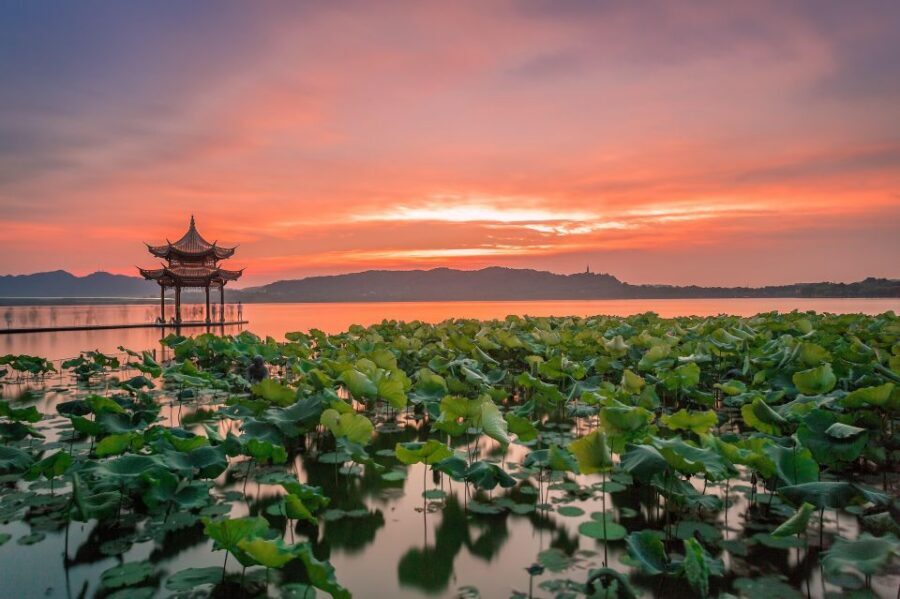 Shanghai: Private Guided Tour to Hangzhou by Bullet Train - West Lake walk-and-boat: where the UNESCO part becomes real