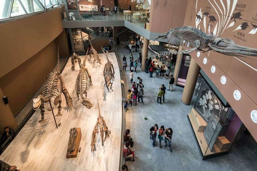 Shanghai: Private Tour of the Shanghai Museum - Key highlights to look for
