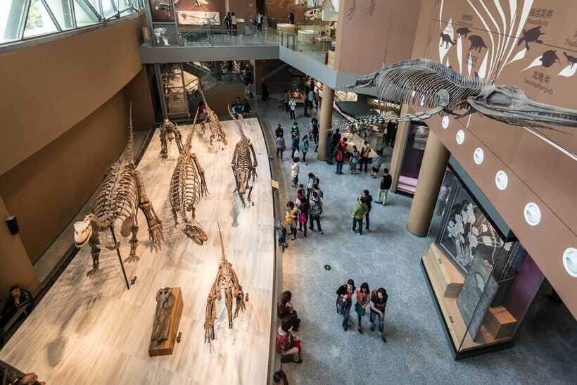 Shanghai: Private Tour of the Shanghai Museum - How the guides keep you moving (and keep it understandable)