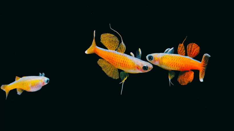 Shanghai: The Marine Wonders at Shanghai Ocean Aquarium - Value at About $38: What You Get for the Money