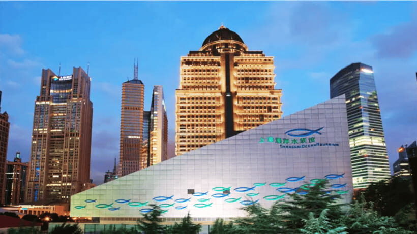 Shanghai: The Marine Wonders at Shanghai Ocean Aquarium - Themed Zones: China Seas and Global Marine Ecosystems