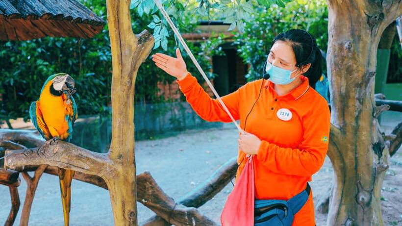Shanghai: Wild Animal Park Ticket - How to Pace a One-Day Visit Without Feeling Rushed