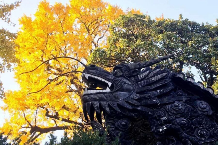 Shanghai: Yu Garden and City God Temple Walking Tour - Should you book this tour?