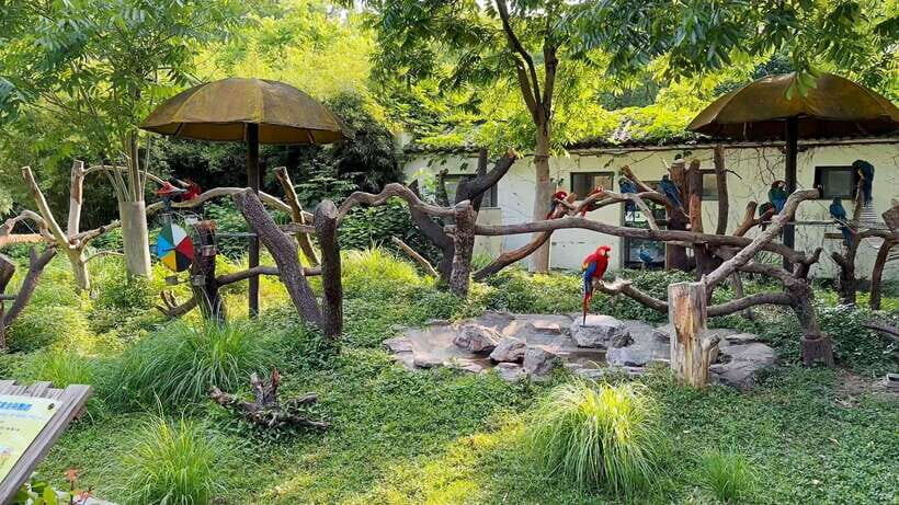 Shanghai: Zoo and Zhujiajiao Water Town Tour with Boat Ride - Door-to-Door Pickup Makes the Day Feel Effortless