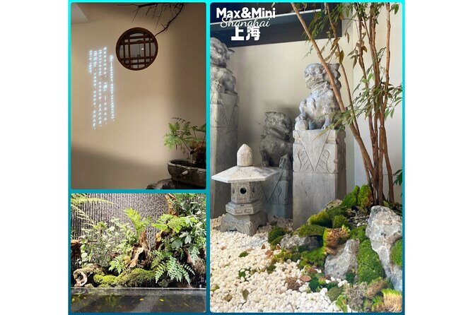 Unlock Chinese Tea: Culture, Science, Tasting & Hands-on Brewing - Price Check: Does $72 Buy Value or Just Tea?