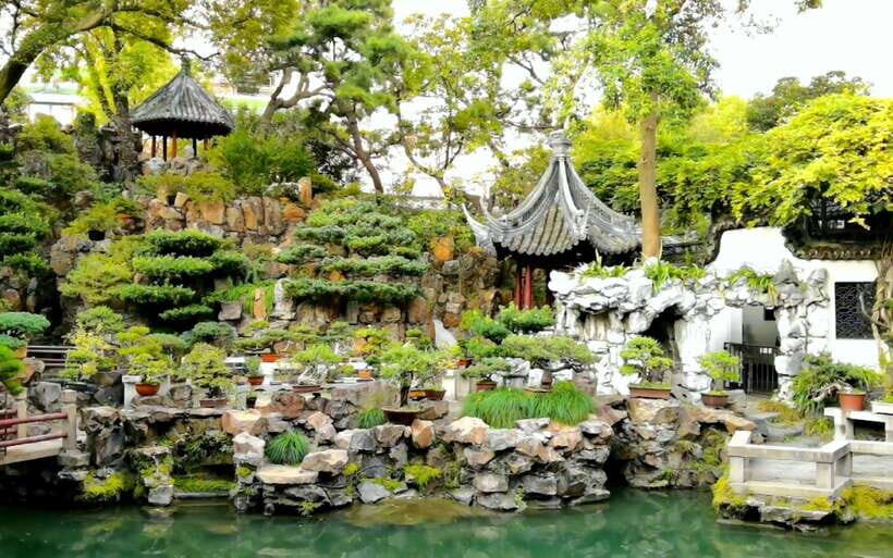 Yu Garden Shanghai Entry Tickets Booking And Trip - Who This Fits Best (and Who Might Want Another Plan)